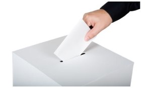 ballot-box-large